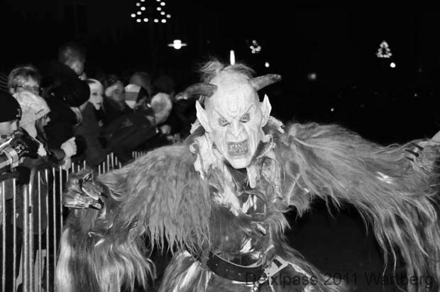 DSC_0954